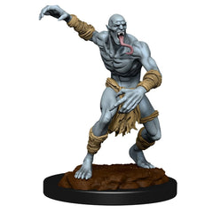 D&D Nolzurs Marvelous Unpainted Miniatures: Wave 11: Wight & Ghast | Jack's On Queen