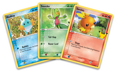 First Partner Pack (Hoenn) | Jack's On Queen