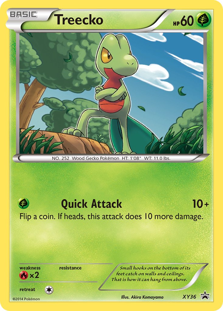 Treecko (XY36) [XY: Black Star Promos] | Jack's On Queen