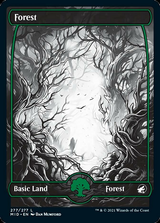 Forest (277) [Innistrad: Midnight Hunt] | Jack's On Queen