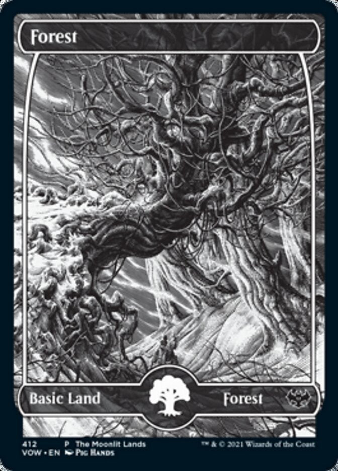 Forest (The Moonlit Lands) (Foil Etched) [Innistrad: Crimson Vow Promos] | Jack's On Queen