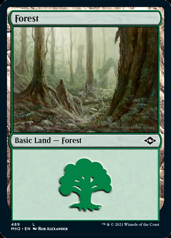 Forest (489) (Foil Etched) [Modern Horizons 2] | Jack's On Queen