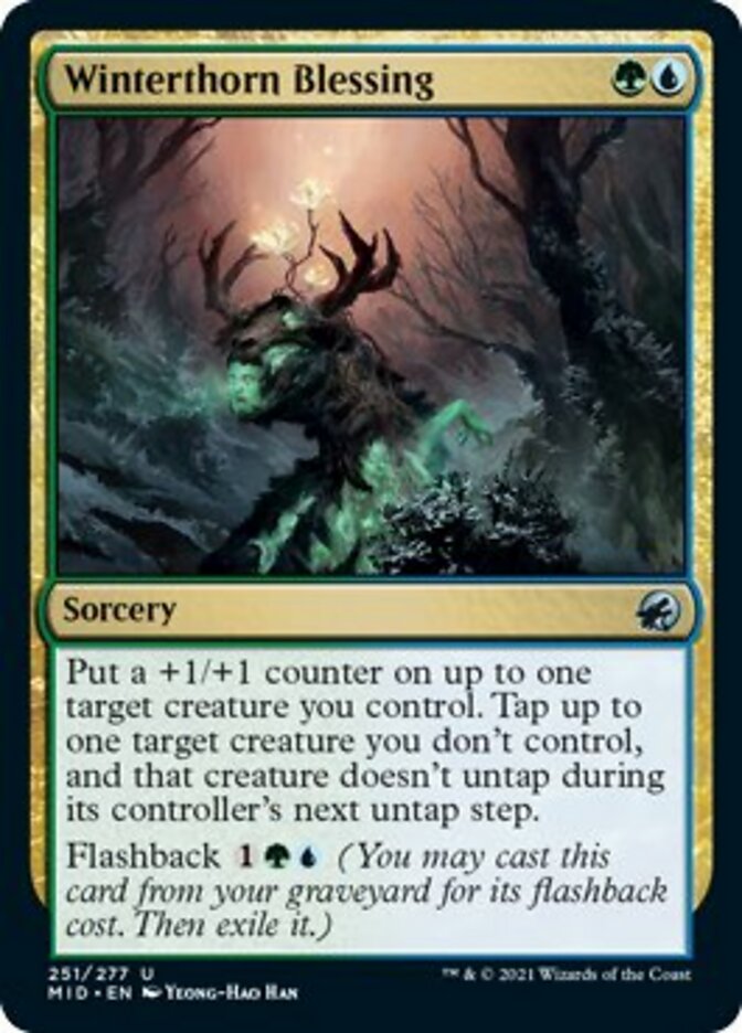 Winterthorn Blessing [Innistrad: Midnight Hunt] | Jack's On Queen