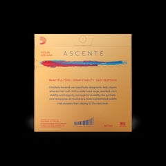 ASCENTÉ VIOLIN STRING SET String Set, 4/4 Scale, Medium Tension A310 4/4M | Jack's On Queen