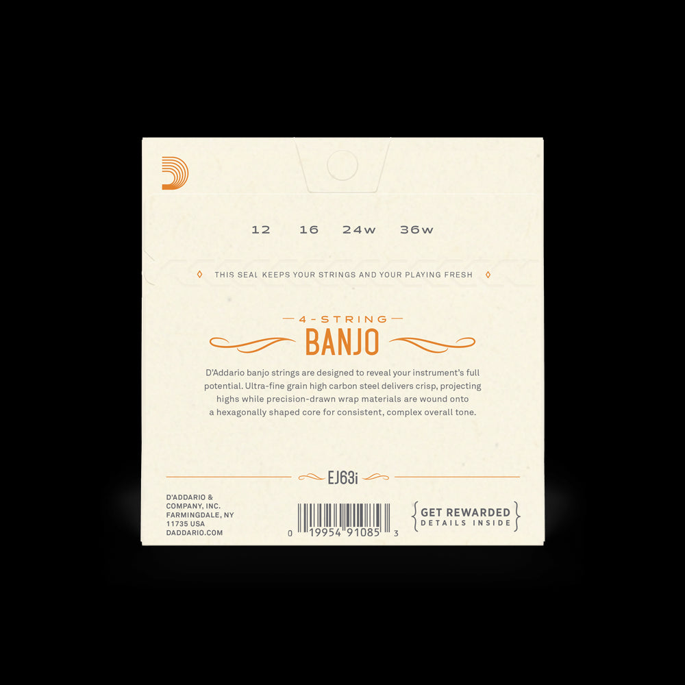 Banjo String Set 12-36 Irish Tenor 4-String EJ63i | Jack's On Queen