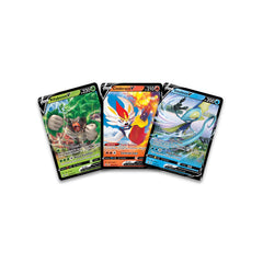 Premium Collection (Galar Sidekicks) | Jack's On Queen