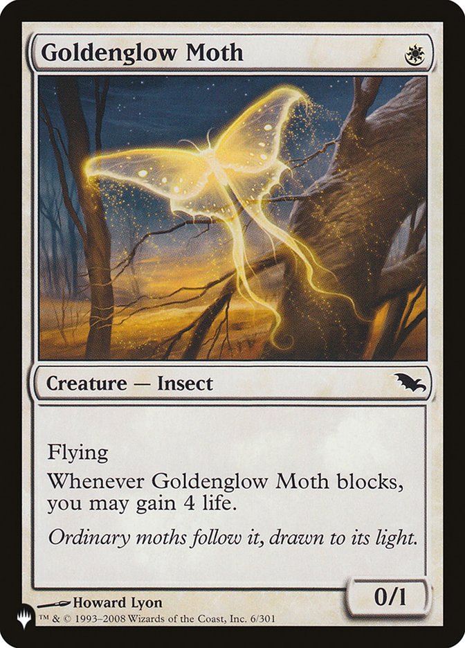 Goldenglow Moth [The List] | Jack's On Queen