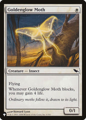 Goldenglow Moth [The List] | Jack's On Queen