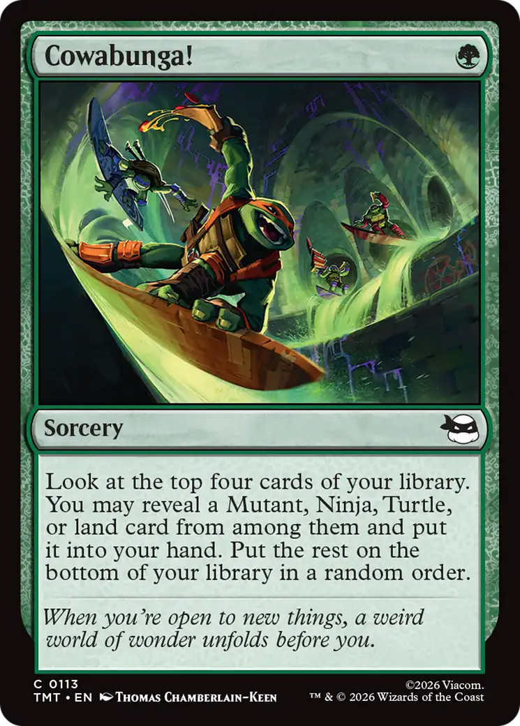 Cowabunga! [Teenage Mutant Ninja Turtles] | Jack's On Queen