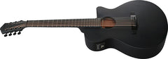 Ibanez AEG721BOT SERIES ACS-EL AC GUITAR | Jack's On Queen