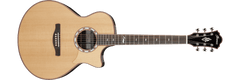 Ibanez MRC10NT Marcin Patrzalek Signature Acoustic Guitar - Natural High Gloss | Jack's On Queen