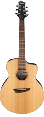 Ibanez PA230E Acoustic-Electric Guitar - Natural Satin Top | Jack's On Queen