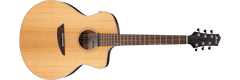 Ibanez PA230E Acoustic-Electric Guitar - Natural Satin Top | Jack's On Queen