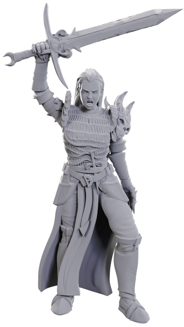 DND UNPAINTED MINIS WV25 BLACKGUARD | Jack's On Queen