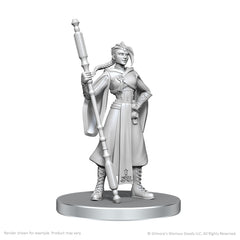 UNPAINTED MINIS WV26 BEAUREGARD LIONETT & CALEB WIDOGAST | Jack's On Queen