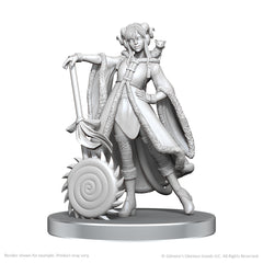 UNPAINTED MINIS WV26 JESTER LAVORRE & FJORD STONE | Jack's On Queen