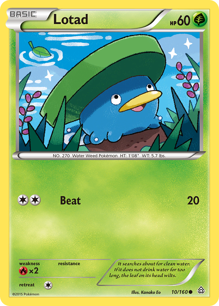 Lotad (10/160) [XY: Primal Clash] | Jack's On Queen