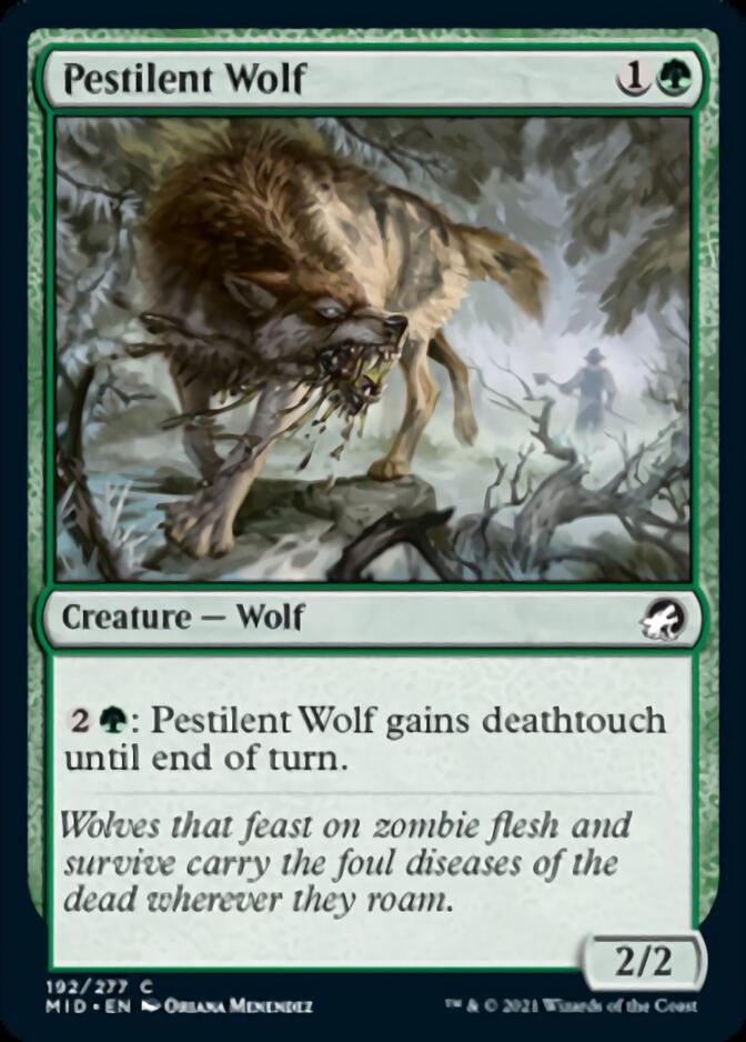 Pestilent Wolf [Innistrad: Midnight Hunt] | Jack's On Queen