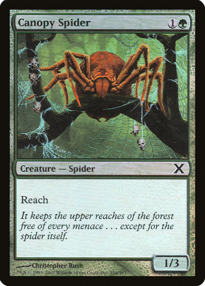 Canopy Spider (Premium Foil) [Tenth Edition] | Jack's On Queen