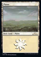 Plains (285) [30th Anniversary Edition] | Jack's On Queen