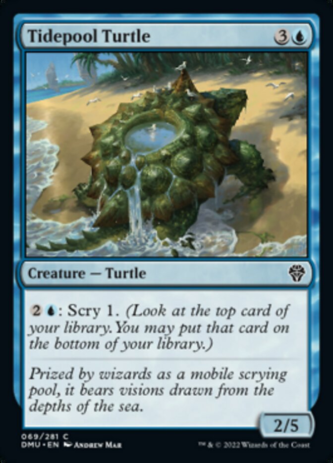 Tidepool Turtle [Dominaria United] | Jack's On Queen