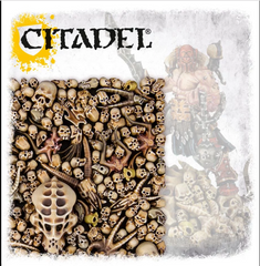 Citadel Skulls | Jack's On Queen