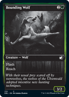 Bounding Wolf [Innistrad: Double Feature] | Jack's On Queen