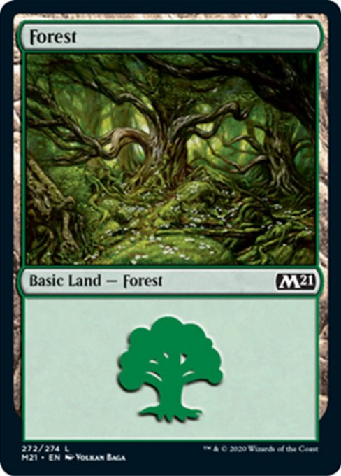 Forest [Core Set 2021] | Jack's On Queen