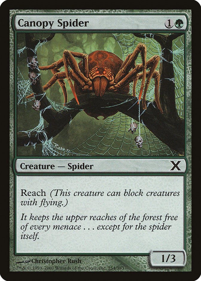 Canopy Spider [Tenth Edition] | Jack's On Queen