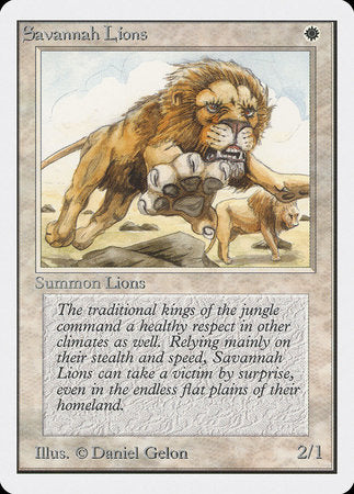 Savannah Lions [Unlimited Edition] | Jack's On Queen