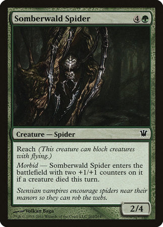 Somberwald Spider [Innistrad] | Jack's On Queen