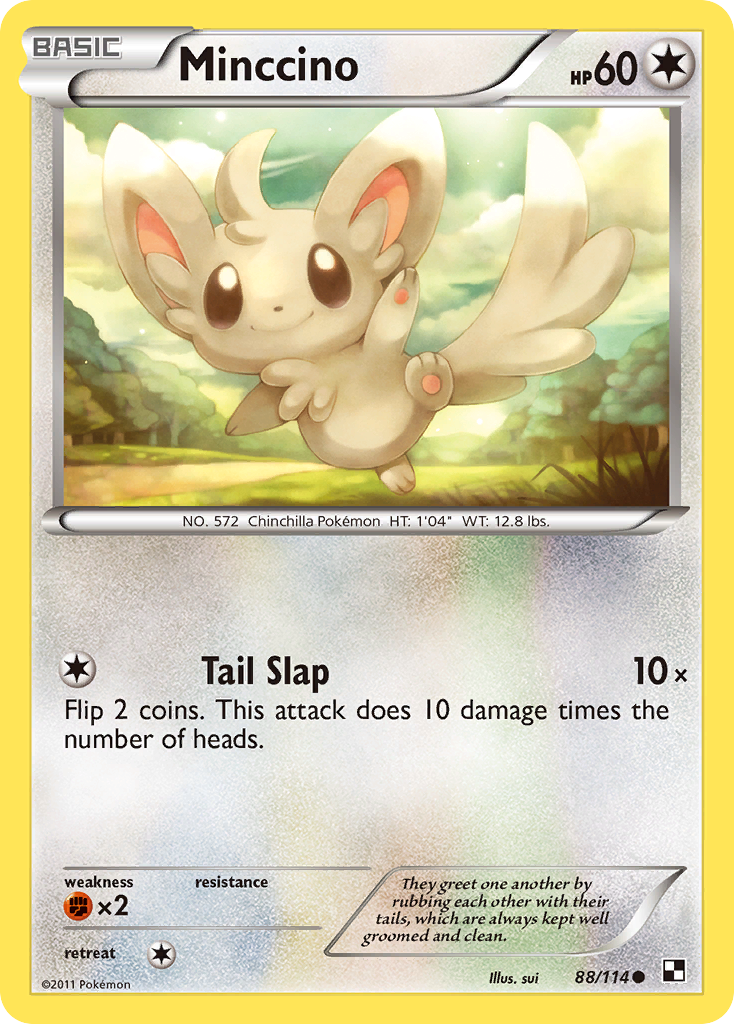 Minccino (88/114) [Black & White: Base Set] | Jack's On Queen