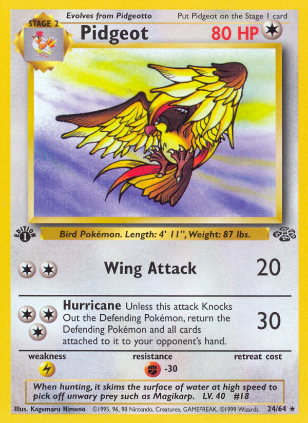 Pidgeot (24/64) [Jungle 1st Edition] | Jack's On Queen