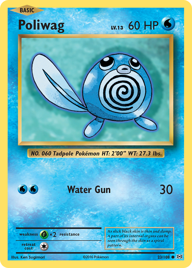 Poliwag (23/108) [XY: Evolutions] | Jack's On Queen