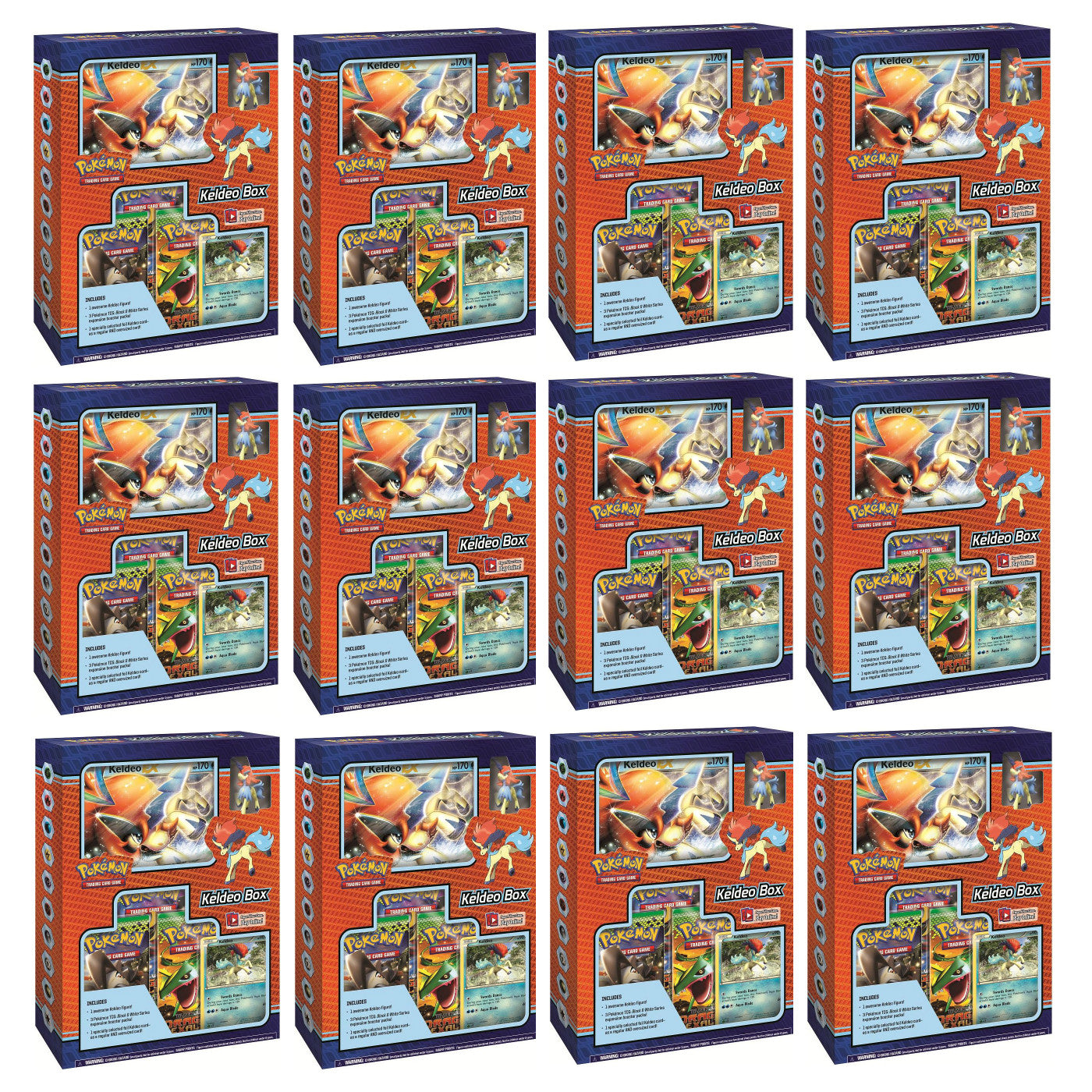 Black & White - Keldeo Box Display | Jack's On Queen