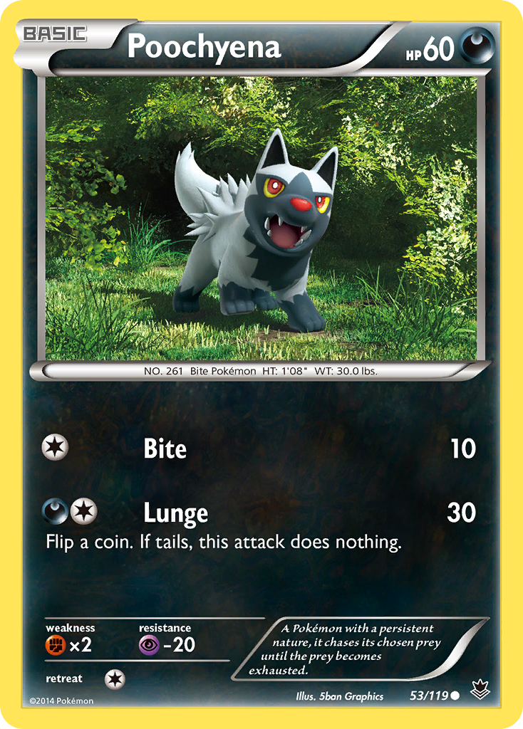 Poochyena (53/119) [XY: Phantom Forces] | Jack's On Queen