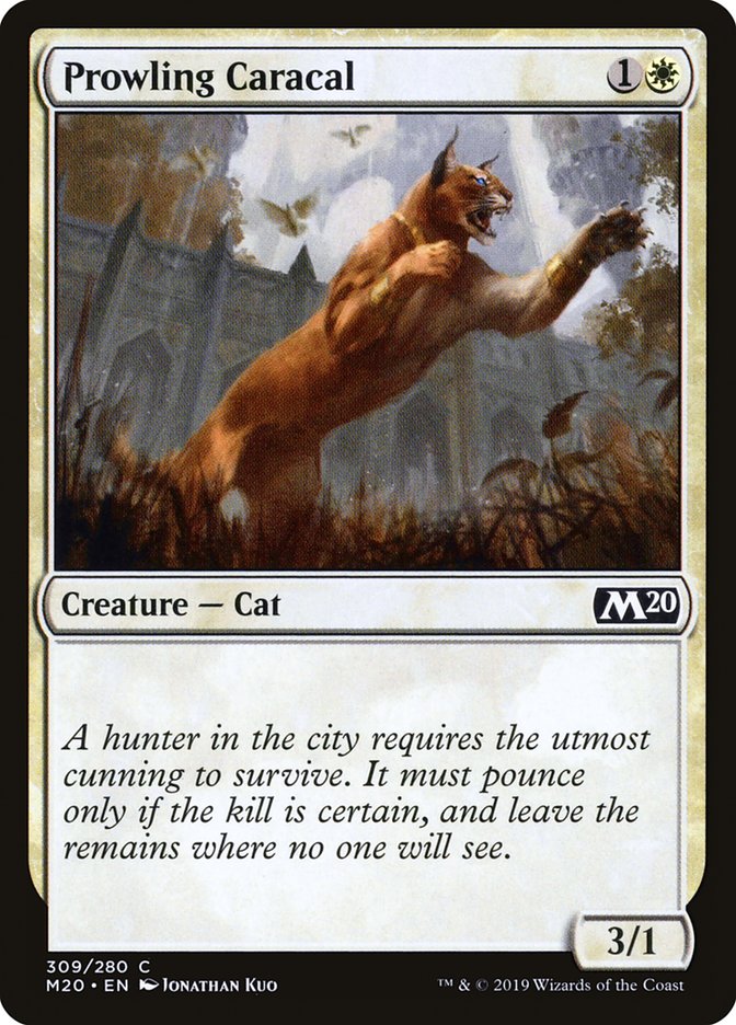 Prowling Caracal [Core Set 2020] | Jack's On Queen