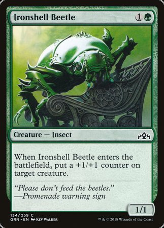 Ironshell Beetle [Guilds of Ravnica] | Jack's On Queen