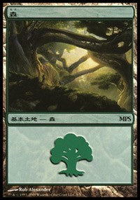 Forest - Zendikar Cycle [Magic Premiere Shop] | Jack's On Queen