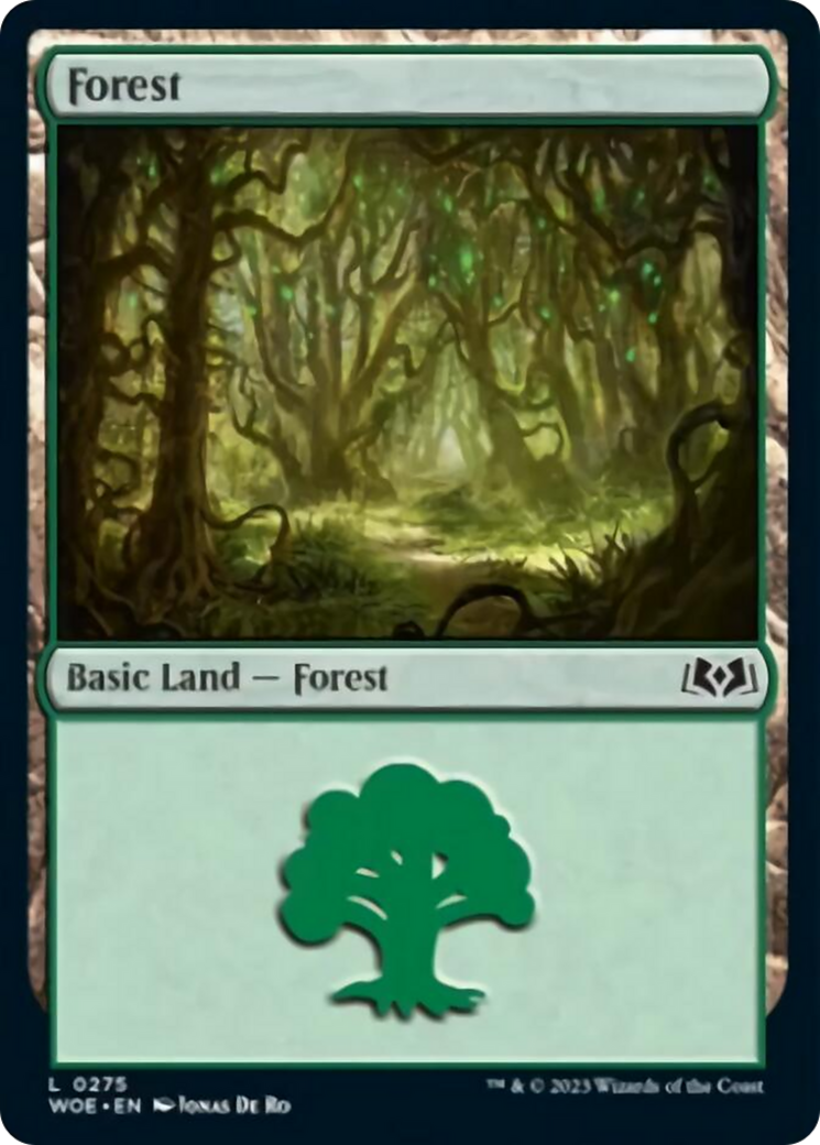 Forest (0275) [Wilds of Eldraine] | Jack's On Queen