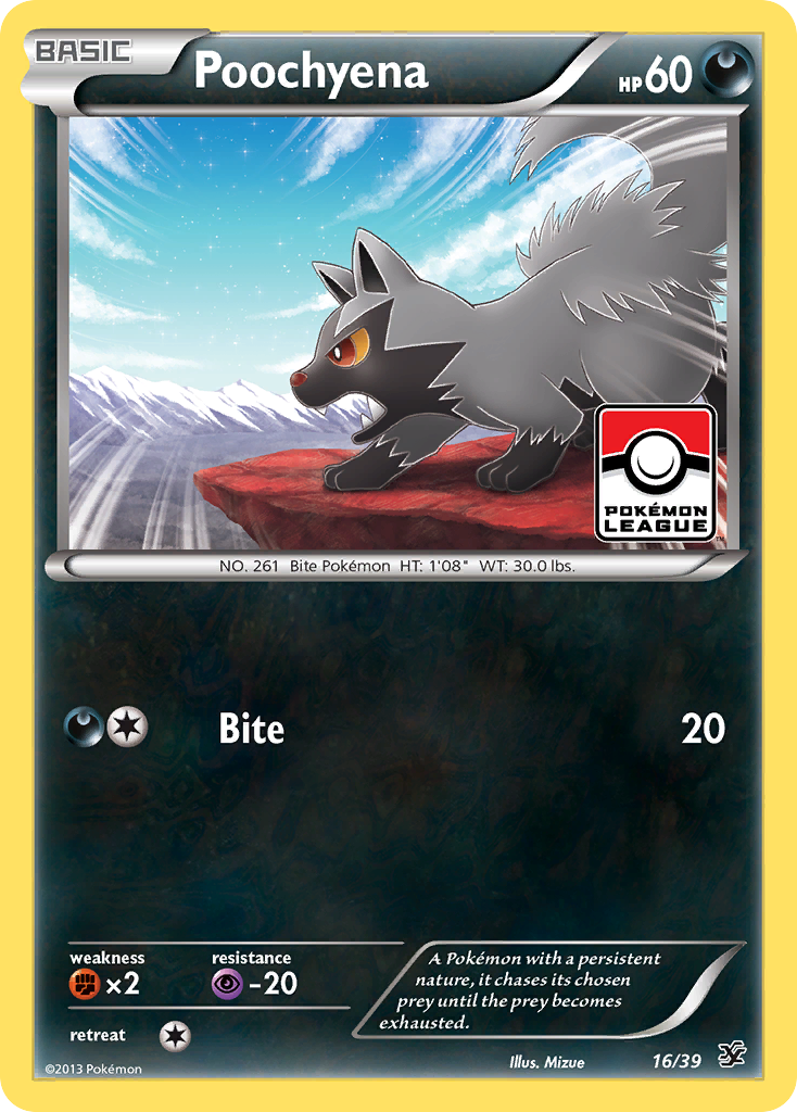 Poochyena (16/39) [XY: Kalos Starter Set] | Jack's On Queen