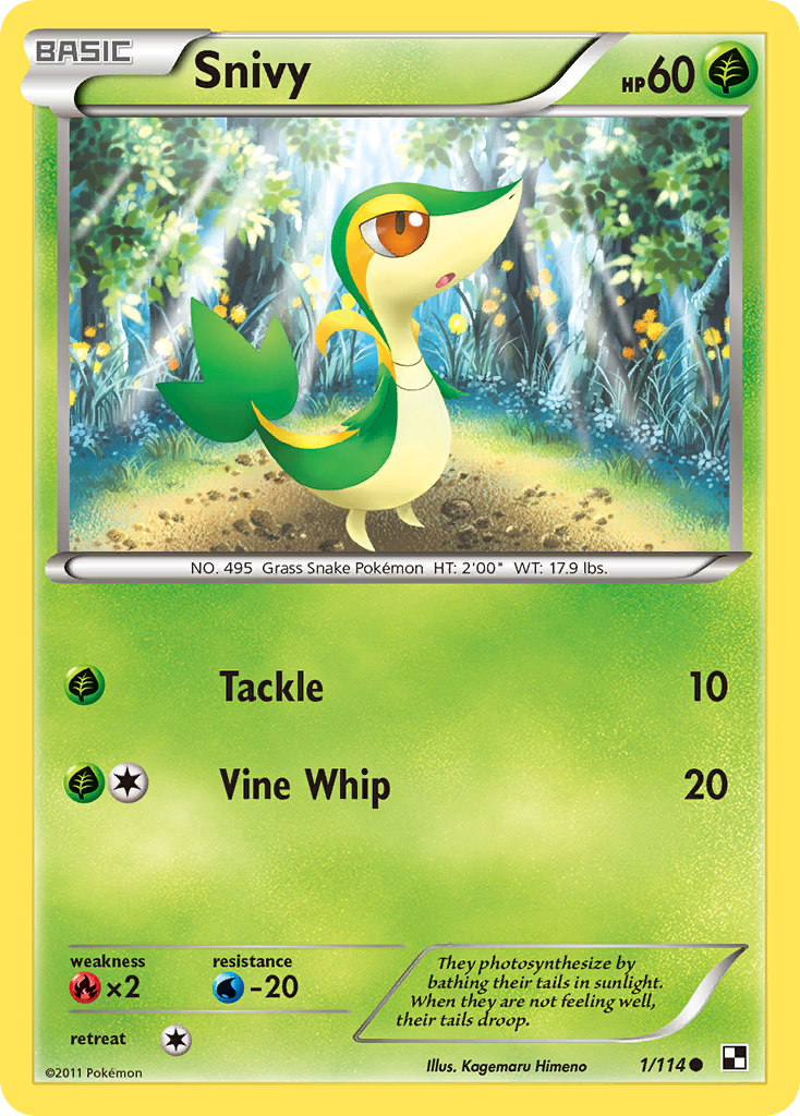 Snivy (1/114) (Cosmos Holo) [Black & White: Base Set] | Jack's On Queen