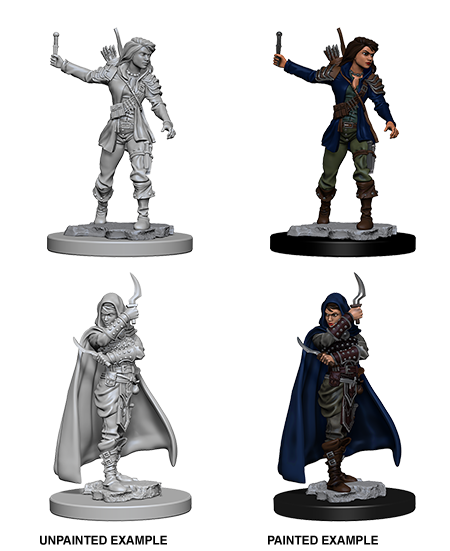 Pathfinder Deep Cuts Unpainted Miniature: Human Female Rogue | Jack's On Queen