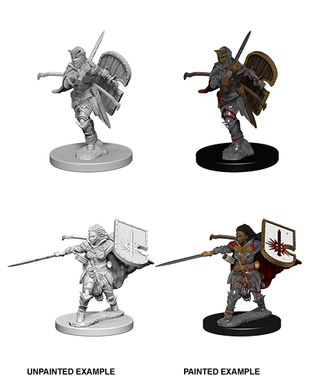 Pathfinder Deep Cuts Unpainted Minis: Human Female Paladin | Jack's On Queen