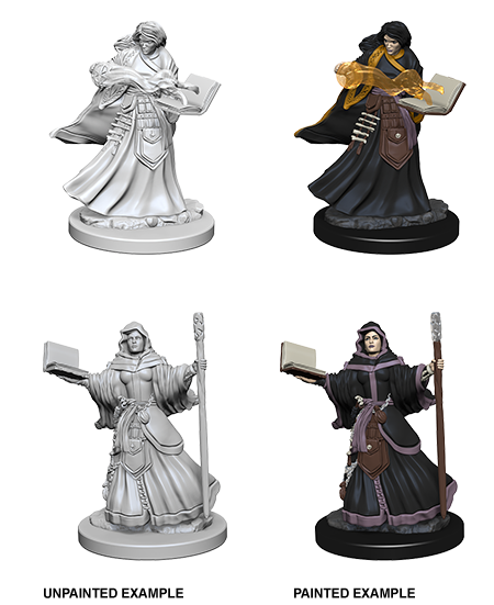 D&D Nolzur's Marvelous Miniatures: Human Wizard | Jack's On Queen