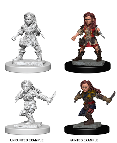 D&D Nolzur's Marvelous Miniatures: Halfling Rogue | Jack's On Queen