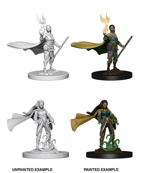 D&D Nolzur's Marvelous Miniatures: Elf Druid | Jack's On Queen