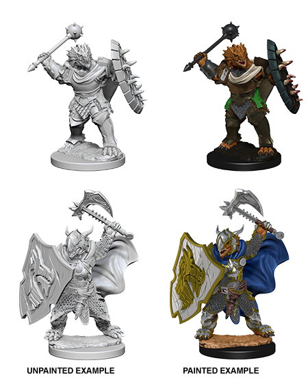 D&D Nolzur's Marvelous Miniatures: Dragonborn Paladin | Jack's On Queen