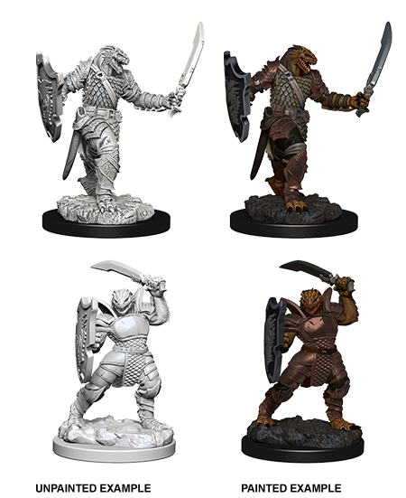 D&D Nolzur's Marvelous Miniatures: Dragonborn Paladin | Jack's On Queen