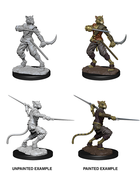 D&D Nolzur's Marvelous Miniatures: Tabaxi Rogue | Jack's On Queen